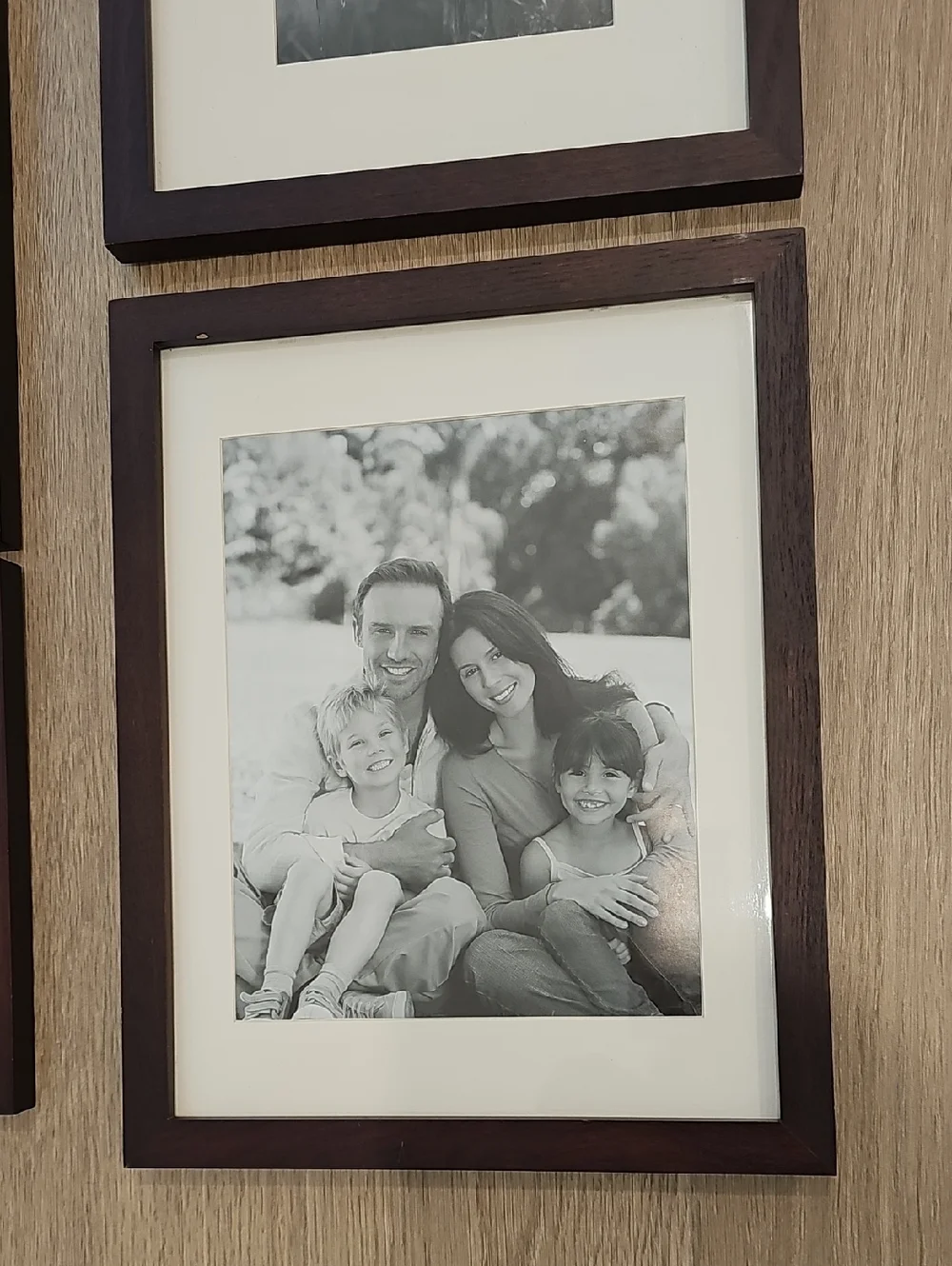 Family Tree Frames Set